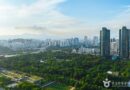 알고보면 더 놀라운… 2026 여름 수도권 숨은 명소 5선 - 서울숲