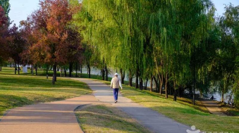 “서울에서 피서를?”… 이번 여름, 2030이 찾는 시원한 '핫'스팟 5선 - 서울