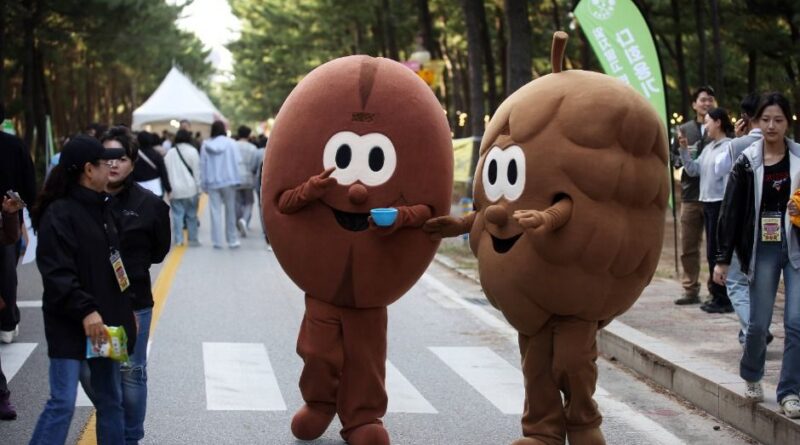"이게 다 모였다고?"…8~10월 12개 축제·행사, 2030과 가족 깜짝 주목 - 강릉커피축제