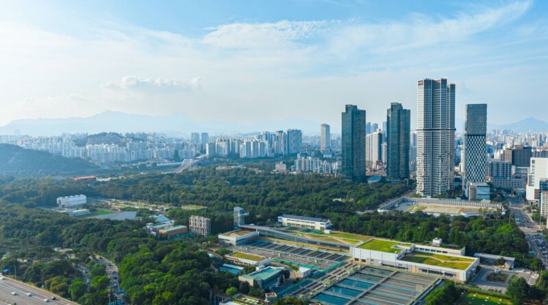 "갤러리가 카페라니?"… 서울 성수동 5곳, 2030 직장인 8월 깜짝 명소 - 서울숲 공원