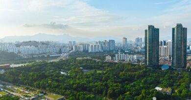 "무료로 즐기기? 8월, 9월 초대할인"… 2030 직장인이 주목하는 국내 핫페스티벌 - 서울숲