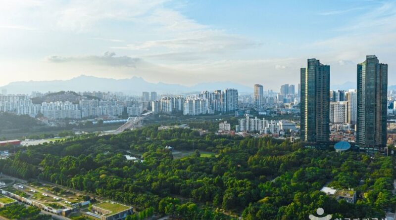 "무료로 즐기기? 8월, 9월 초대할인"… 2030 직장인이 주목하는 국내 핫페스티벌 - 서울숲