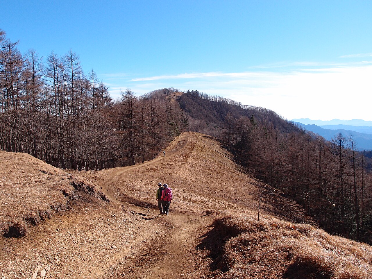 japan ridge trail