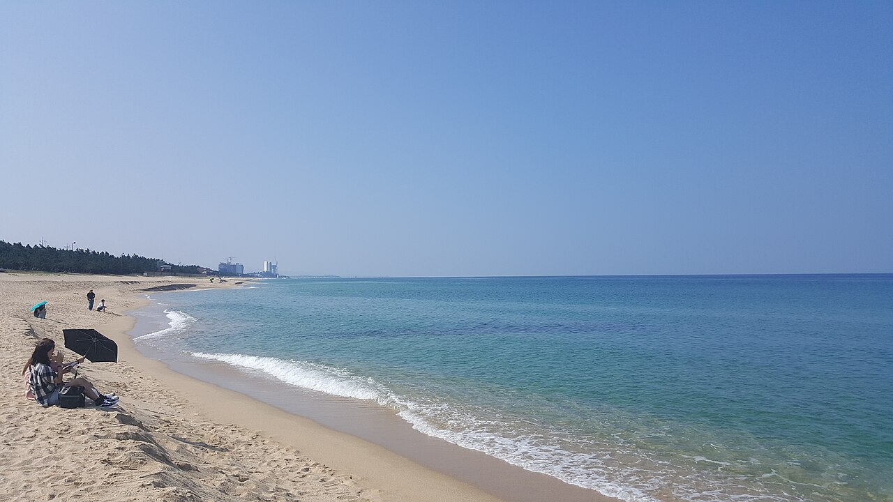 강릉 안목해변 언덕 전경