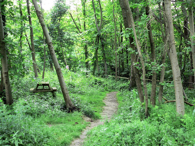 hidden spot near Seoul