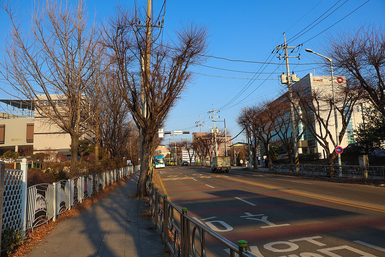 서울 거리