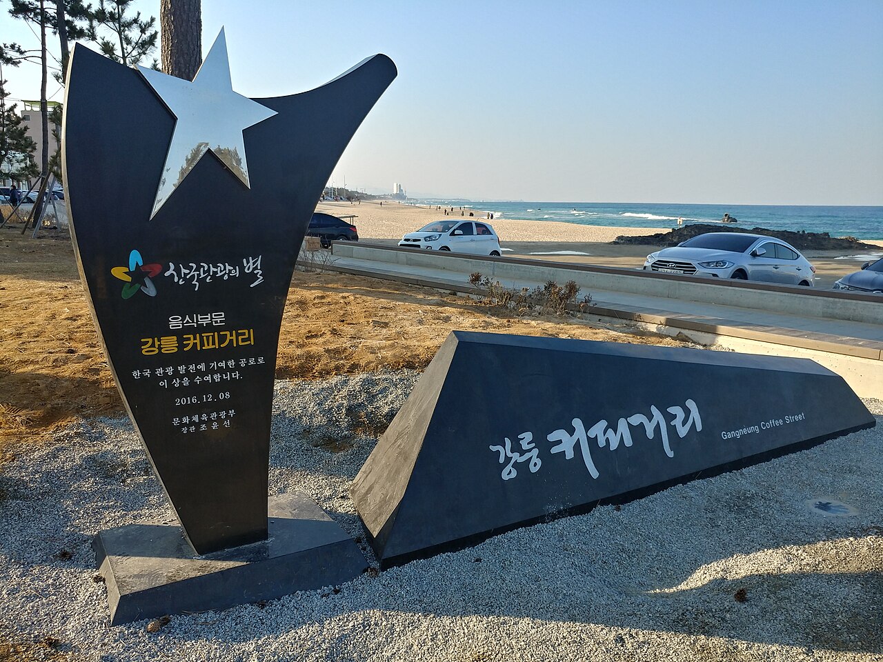 gangneung coffee festival