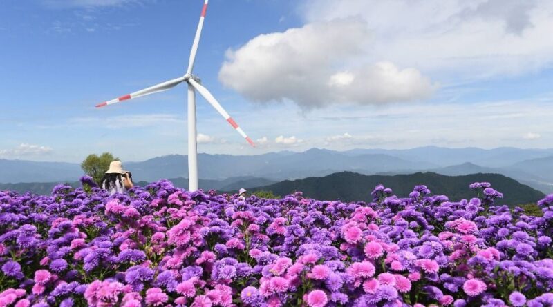 2026 감악산 꽃별 여행 셔틀버스 이용료 안내