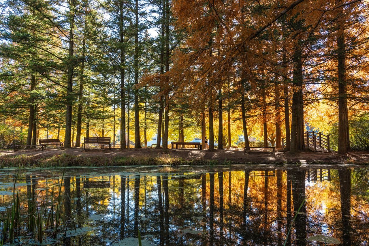 가을 산책길 korea autumn walk