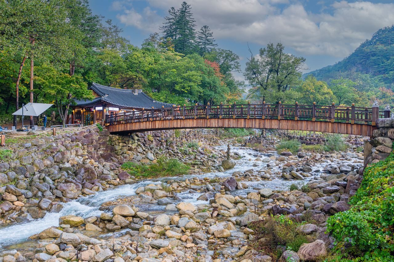 자연 속 감성 여행 korea nature retreat