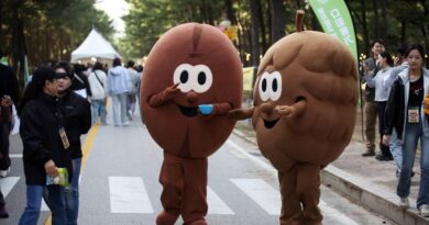 ‘‘이게 다 천 원대?’’… 9월 가족·2030 위한 전국 10대 역대급 축제 일정 - 강릉커피축제