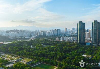 "이게 다 루프탑 카페라고?"… 9월 2030 직장인 위한 성수동 5층 대형 카페·아트 스팟 초비상 - 서울숲