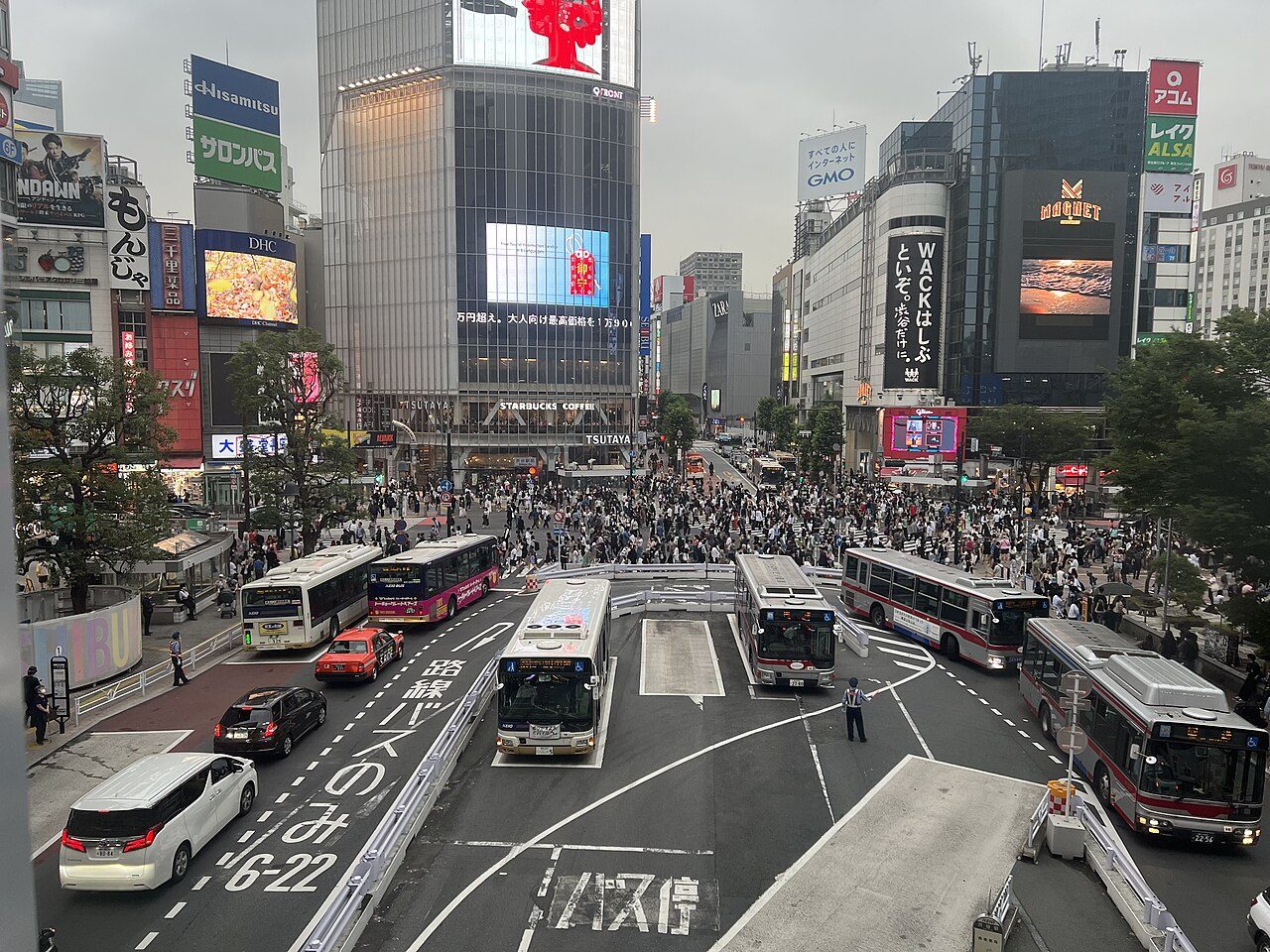 Tokyo Shibuya Crossing
