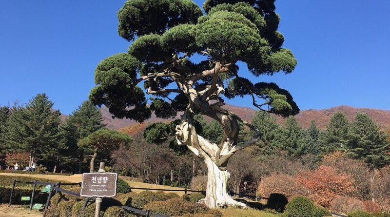 “무료라니?”… 2026년 9월 직장인 위한 경남·충남·충북 ‘한적한 숨은 명소’ 3선 대박 초비상